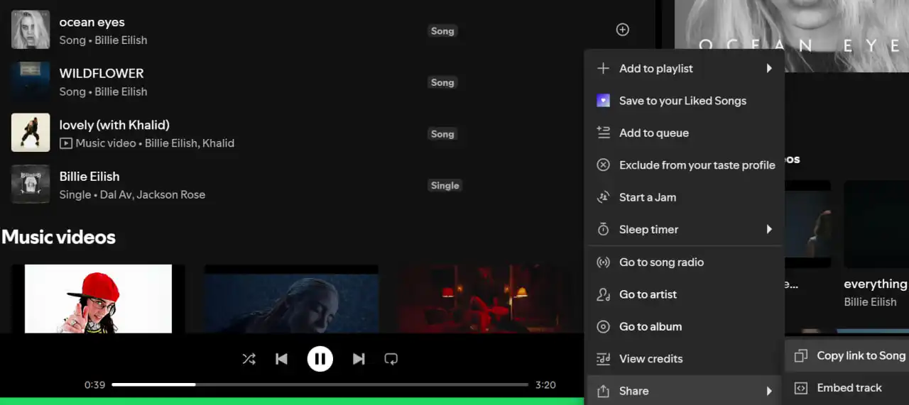 Downloading music from Spotify as MP3 on a computer